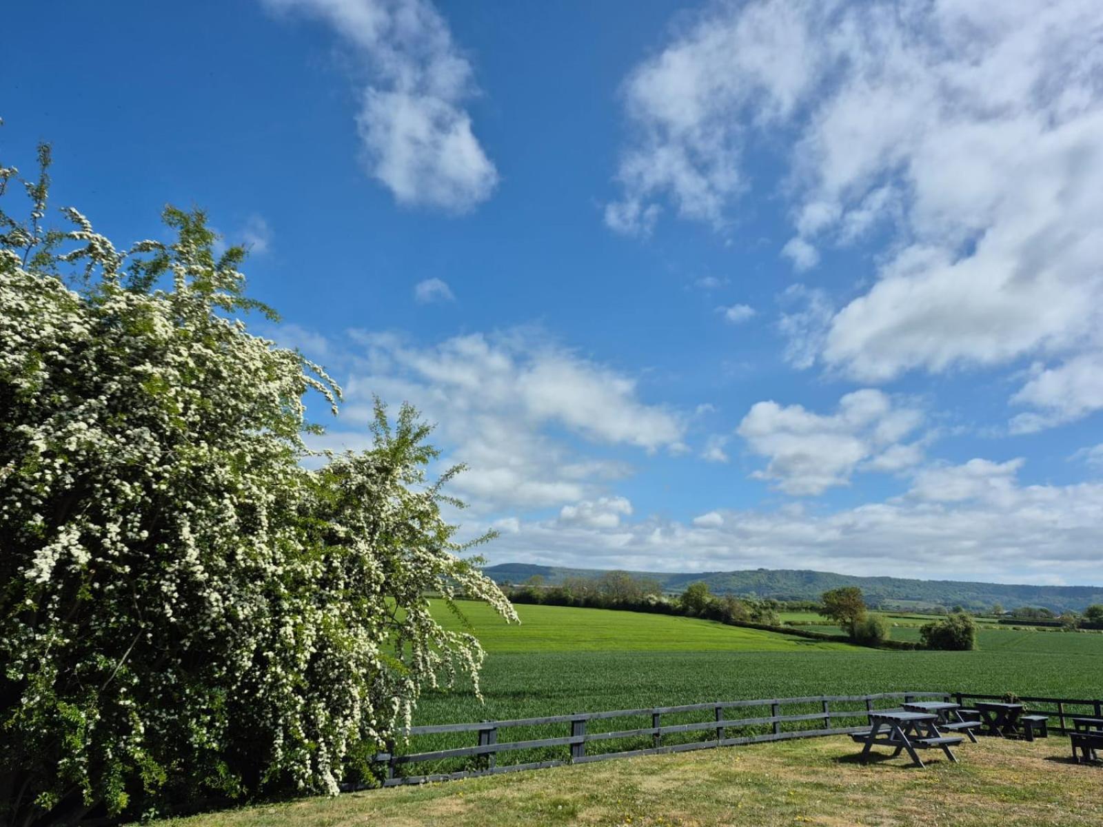 The White Horse Lodge Hotel Thirsk Bagian luar foto